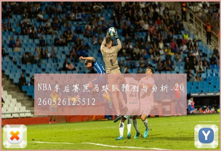 NBA季后赛黑马球队预测与分析_20260526125512
